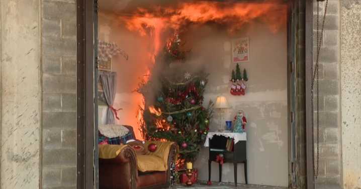 Don't let your Christmas tree spark a disaster