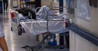 A&E patient 'waits two days' for bed as research reveals 'shameful' scale of corridor care