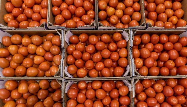 Diciembre comenzó con un incremento de $500 en el tomate y $200 en la cebolla