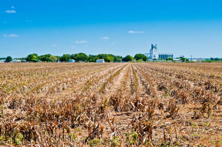 New Jersey under statewide drought warning as dry spell strains water supply