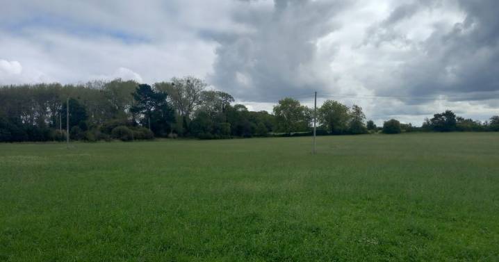 Neighbours oppose plans for new homes in vacant field next door