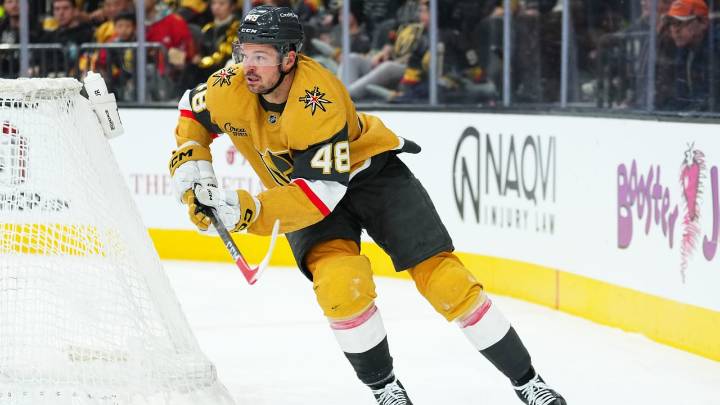 Hertl finally healthy, on cusp of delayed Olympic dream with Czechia