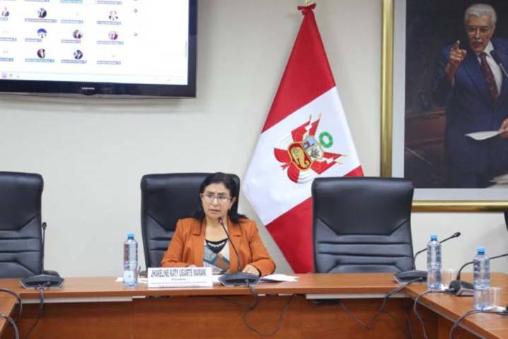 Congreso: comisión aprueba regular el e-commerce para evitar abusos y riesgos