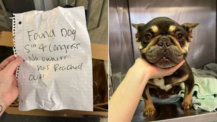 Texas Rescue Workers Face A Heart-Tugging Mystery Left On Their Doorstep In A Cardboard Box