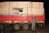 Narcotráfico en Argentina: Un can detecta más de 3 toneladas de marihuana en Corrientes trasladadas entre maderas (Imágenes)