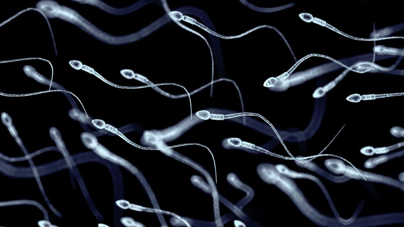 At least 197 children were fathered by sperm donor with cancer-causing gene. Some have already died