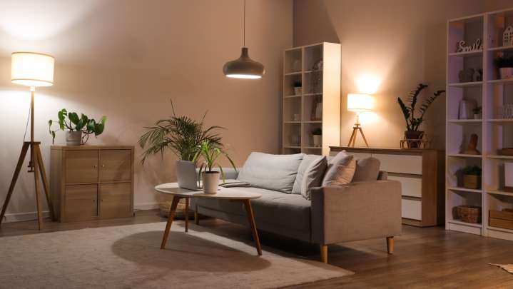 The Indoor Plant That Thrives Even In Windowless Rooms