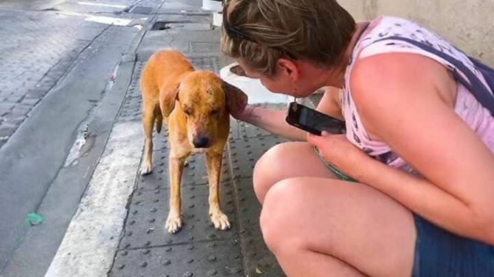 Tennessee Woman’s Vacation Plans Change Dramatically When She Meets A Soul In Crisis