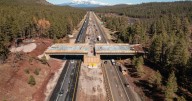 ADOT halting construction of I-17 wildlife overpass for the winter