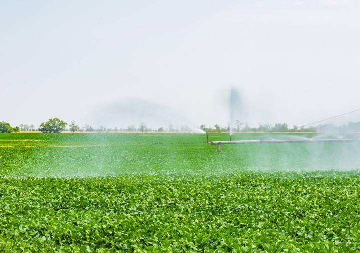 Agricultura inteligente: ¿cómo alimentará el mundo a una población de 10 mil millones de personas?