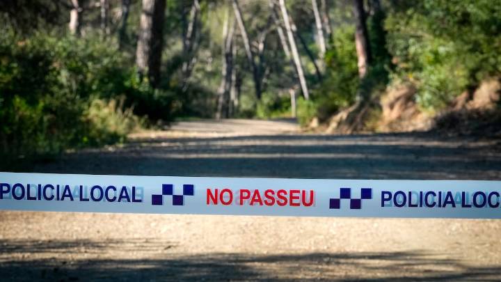 La Generalitat apunta a un embutido contaminado o bocadillo como posible origen del foco de peste porcina