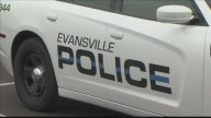 Dog on the loose near East Florida Street in Evansville