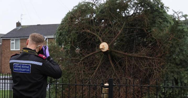 CSI at scene after Shotton Colliery Christmas tree cut down