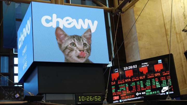 Chewy CEO talks strategy for 'emotive' pet category after earnings beat