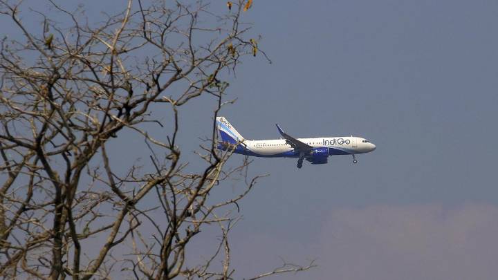 IndiGo flight disruptions: Board approves appointment of Captain John Illson for independent expert review