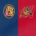 Resumen Tigres vs Leones