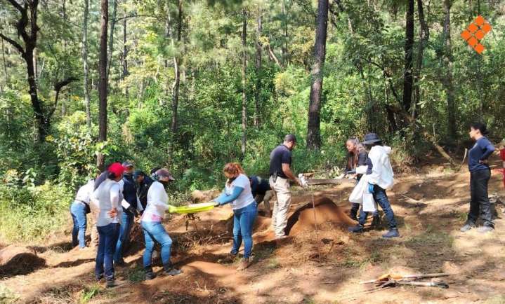 Madres buscadoras: cada centímetro removido, un acto de resistencia