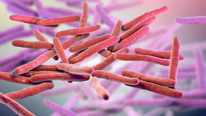 Dozens of leprosy cases reported in Florida. What we know