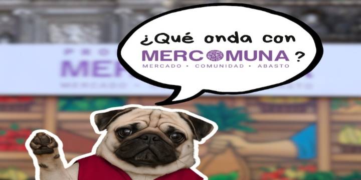 MERCOMUNA CDMX: paso a paso para registrarte y obtener tus vales de apoyo