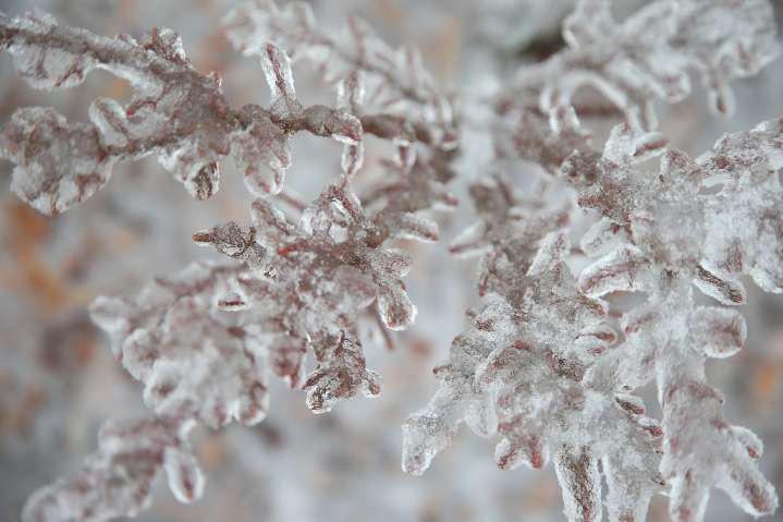 Mass. weather: Cold, dry Sunday leads to frigid arctic blast overnight