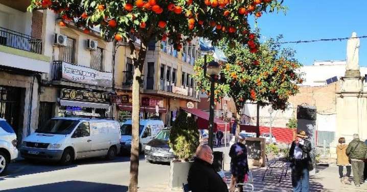 El motivo por el que los 57.000 vecinos de Linares juegan todos al mismo número en la Lotería de Navidad