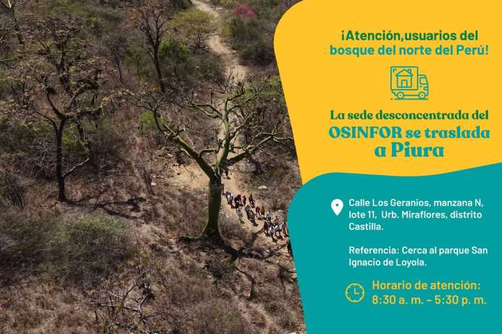 Protección del bosque seco: oficina desconcentrada de Osinfor se traslada a Piura