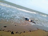 Petro acusa hallazgo de cuerpos en el mar