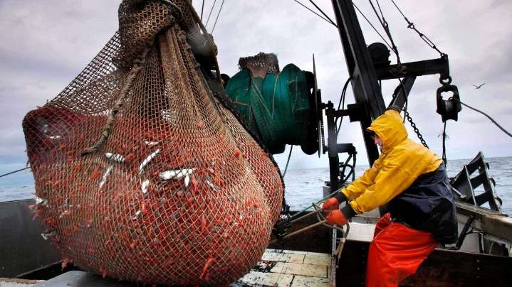 New England's shrimp fishery to shut down for the long haul after years of decline