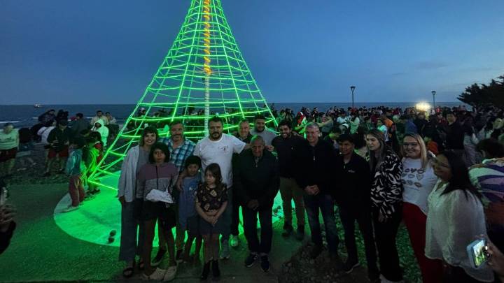Brilla en la costanera el árbol de Navidad