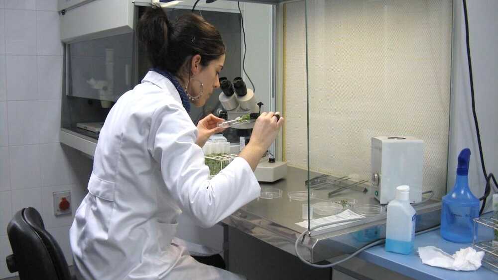 El Iriaf convoca siete nuevas plazas para desarrollar proyectos específicos de I+D