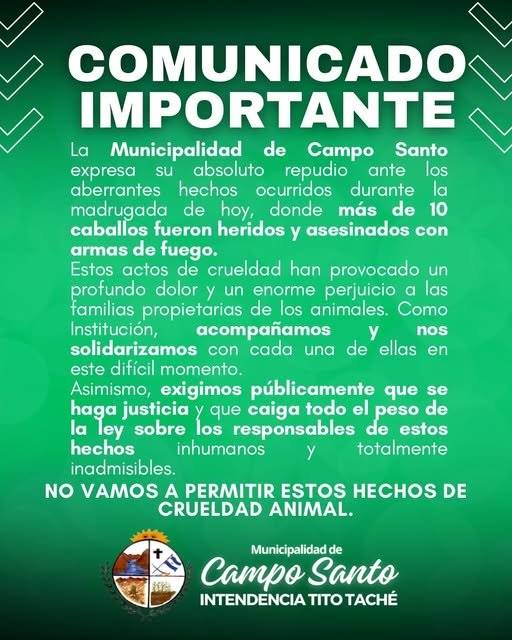 Repudian el ataque con arma de fuego a 10 caballos en Campo Santo