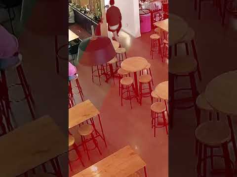 Lost baby seal waddles into New Zealand bar — shocking customers, staff #shorts