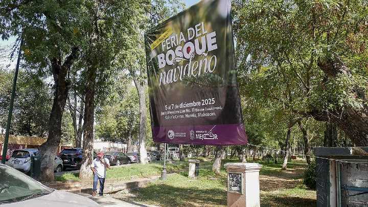 Feria del Bosque Navideño contará con pinos certificados para su venta y corte