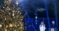 Watch: Donald and Melania Trump Light the National Christmas Tree