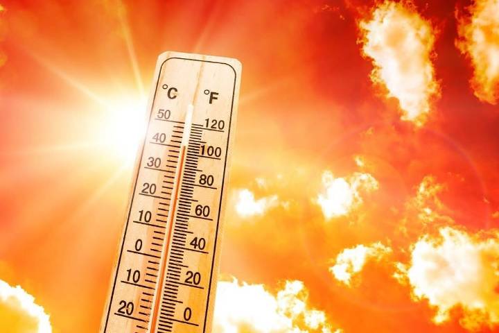 Excessive Heat Harms Early Childhood Development