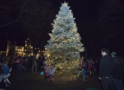 Holiday season in Barrington kicks off with tree lighting on Saturday