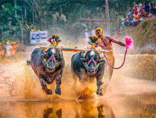 Kambala introduces strict new rules; prizes only if water hits target