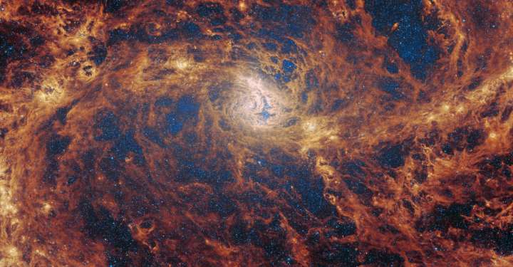 Looking for Signs of a Black Hole