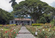El Cerrito, Valle del Cauca: el pueblo de la célebre novela María y un paraíso para los amantes de la aventura -