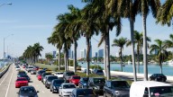 Traffic during Art Week Miami: How to get around