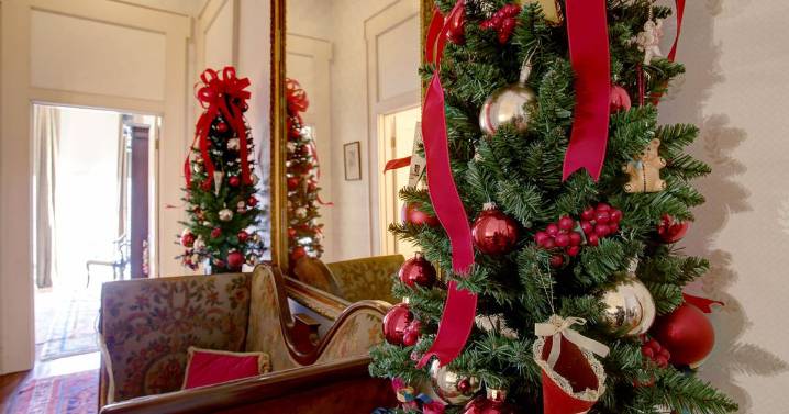 Looking for New Orleans home and garden events? Check out these options.