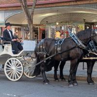Maryland Farmer Brings Joy With Holiday Carriage Rides