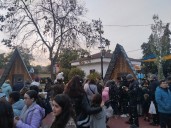 Bormujos enciende su Navidad con un multitudinario alumbrado en el Parque de los Álamos