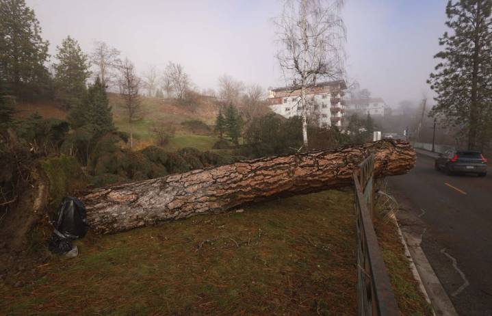 Leavenworth reacts to WA flood damage