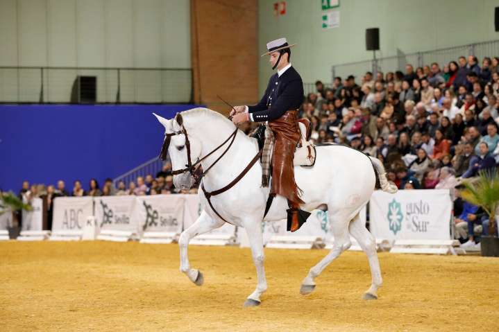 El jinete palmerino que conquista SICAB: “Este premio es fruto de muchas horas, muchos viajes y muchísima ilusión”