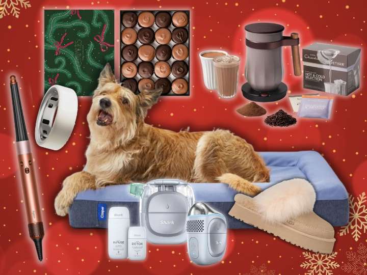 Best luxury gifts: Shark FacialPro Glow, Casper Dog Bed, Hotel Chocolat Velvetiser & more