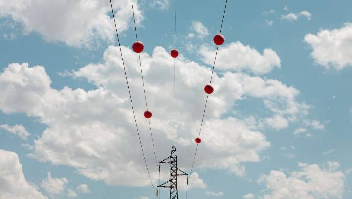 Why Do Power Lines Have Those Big Colorful Balls On Them?