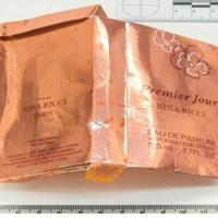 Putin found 'morally responsible' for nerve agent death in UK