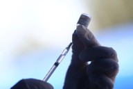 EE. UU. investiga si la vacuna contra covid-19 está relacionada con la muerte de pacientes