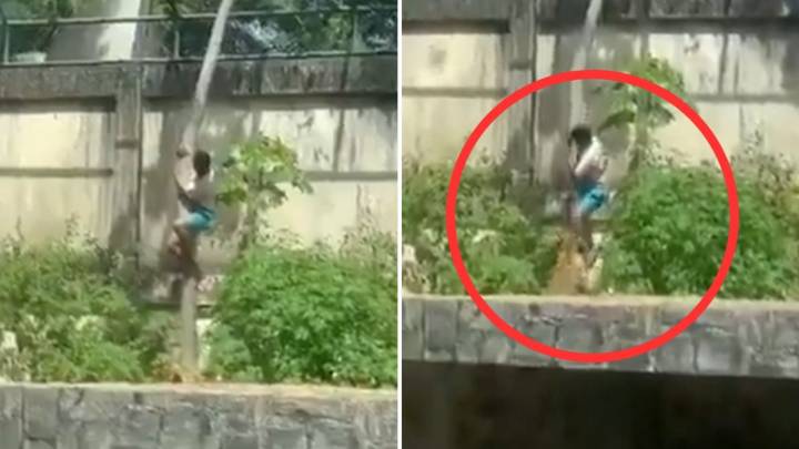 Trump invita a Netanyahu a Washington y discuten la crisis en Gaza y acuerdos de paz